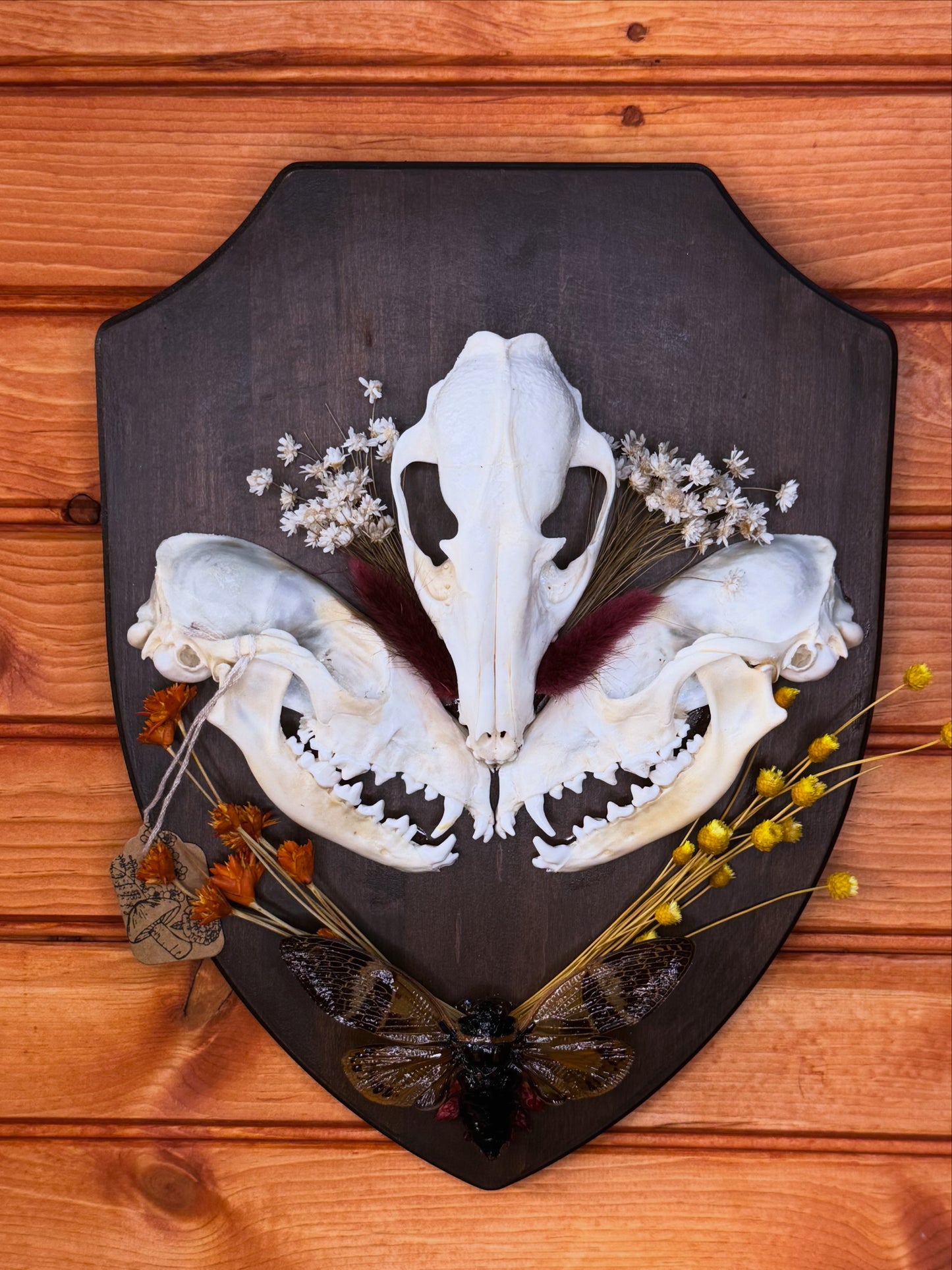 Skull mount with dried flowers on a wooden background